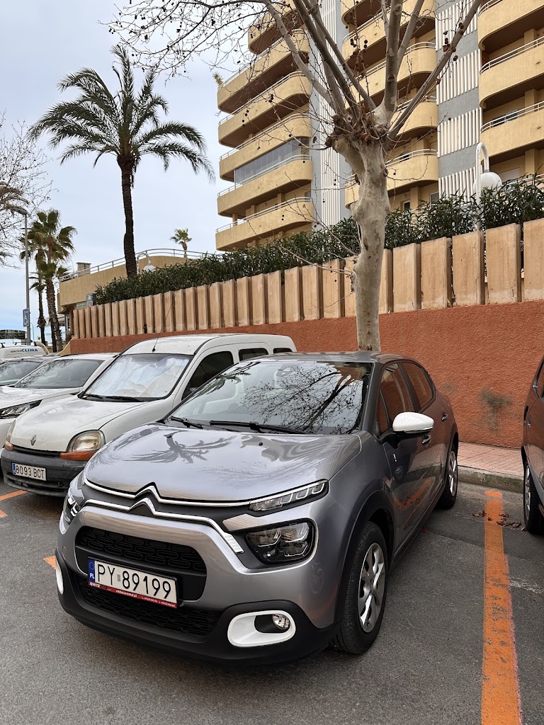 White Car Rental — Mas recientes