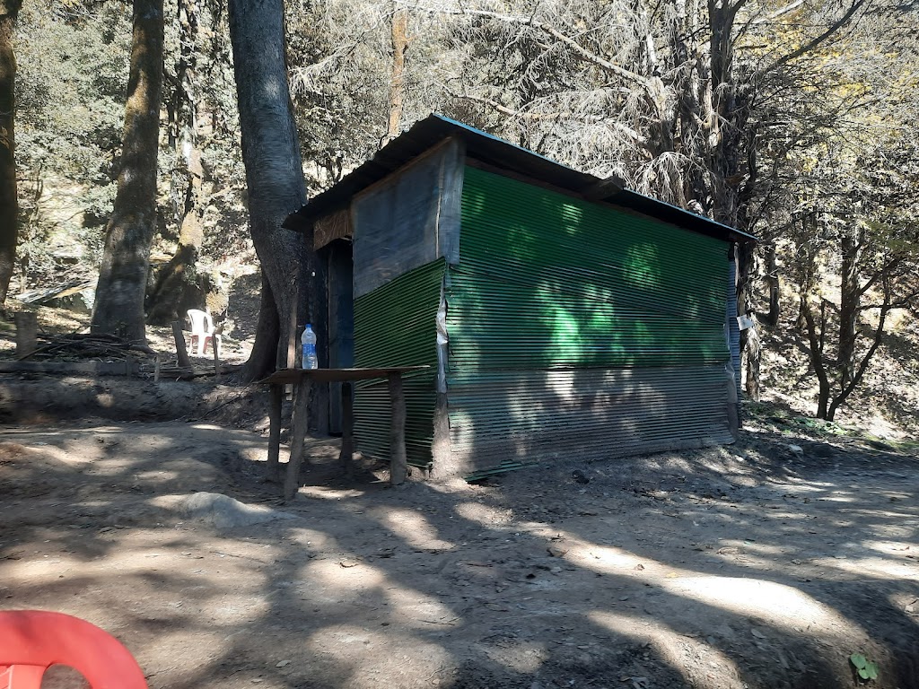 NatureWood Cafe & Camping