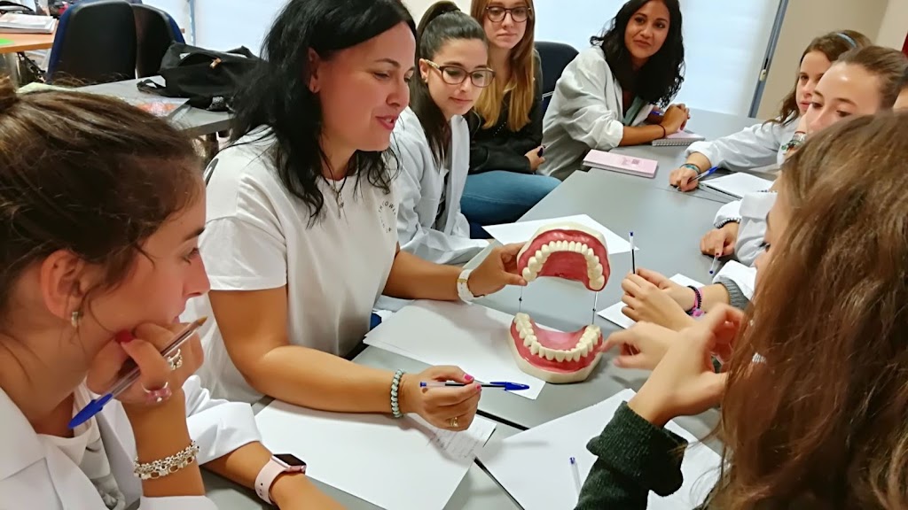 Kapital Inteligente Formacion Profesional