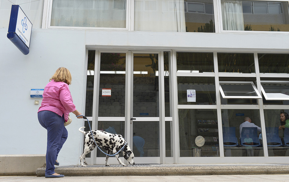 Hospital Clinico Veterinario — Del propietario