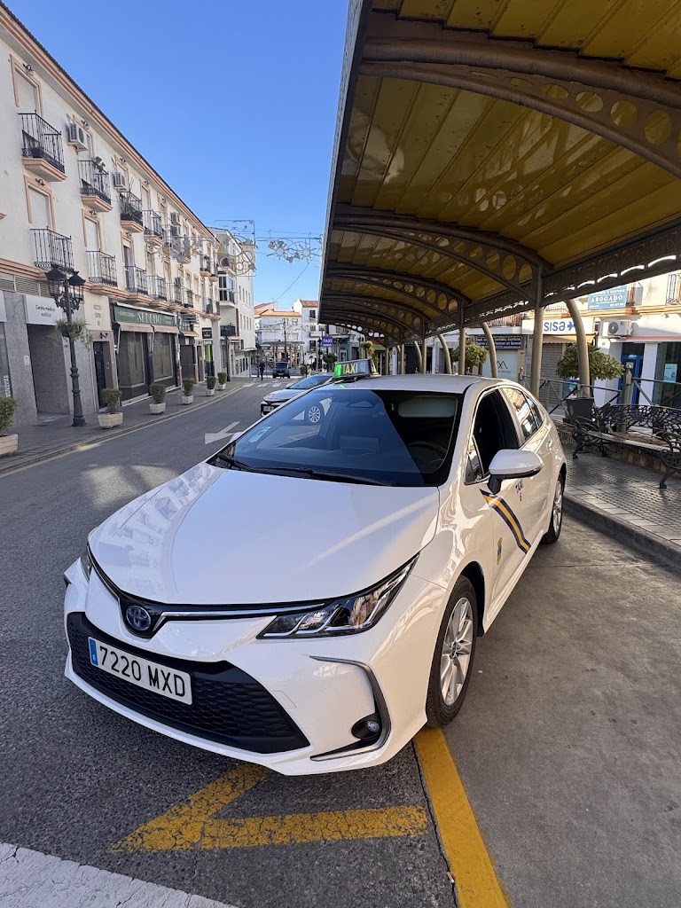 TAXI 24 horas Alhaurin de la Torre