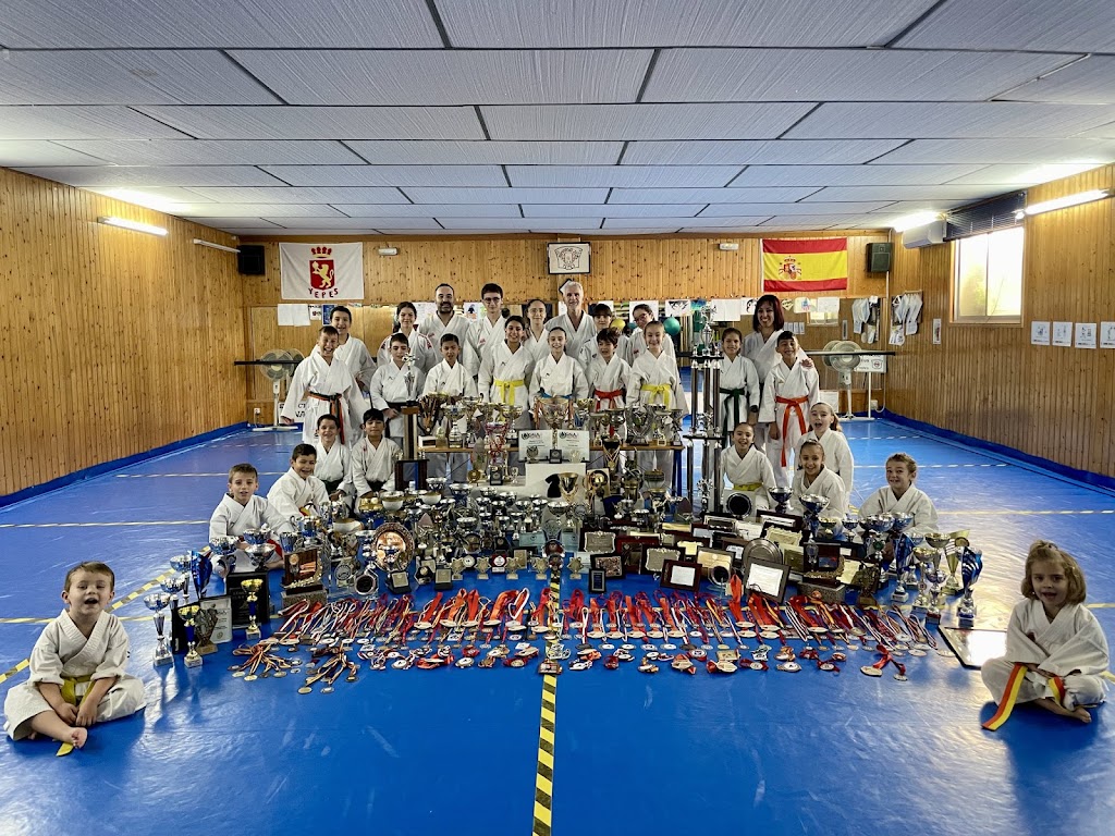 Escuela Karate Aranjuez ZEUS