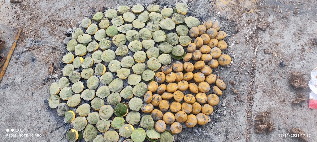 Mahakal Bhojnalay Special Daal Paniye