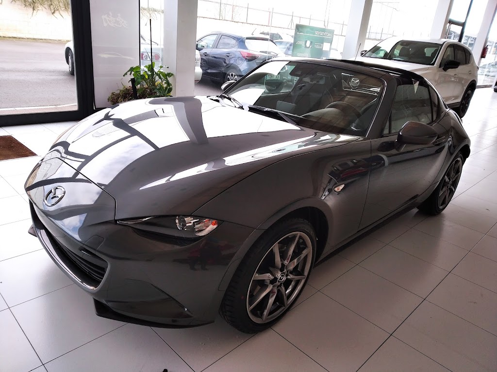 Export Motor Araba, S.A.