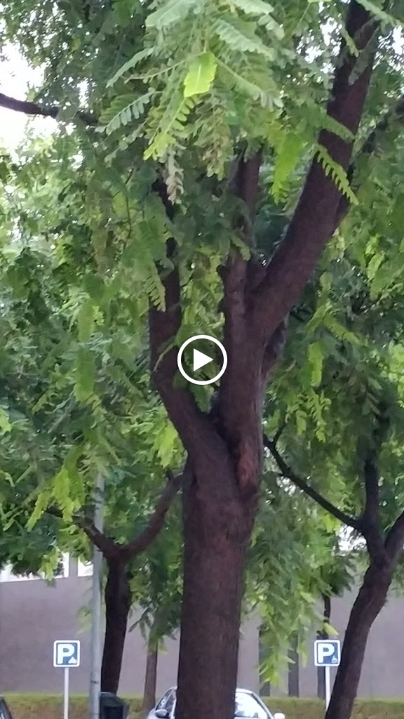 Parking Campus Gandia UPV