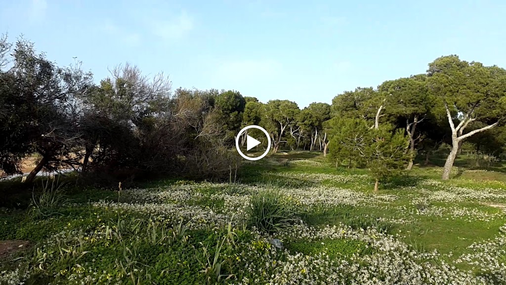 Fuerte de Rostrogordo — Videos