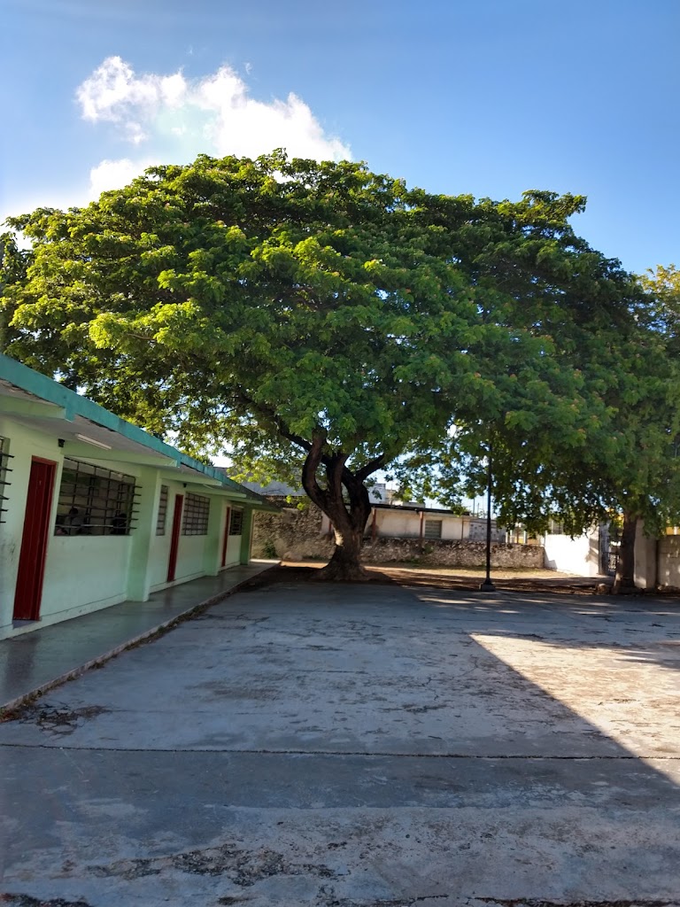 Escuela Primaria Ford 7 Florinda Batista Espinola