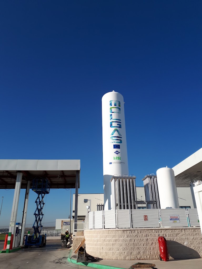 MOLGAS GNL/GNC San Fernando — Del propietario