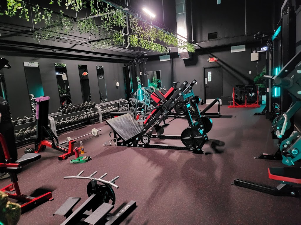  The Ludus Gym
