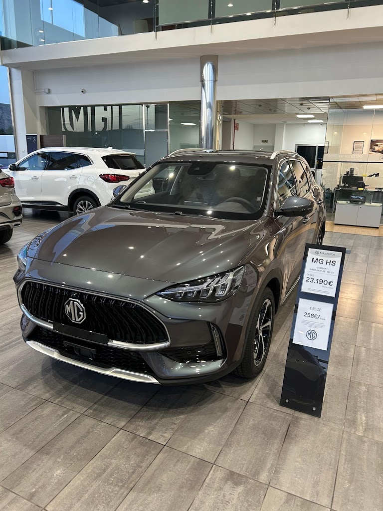 MG Borjamotor Villena — Todas