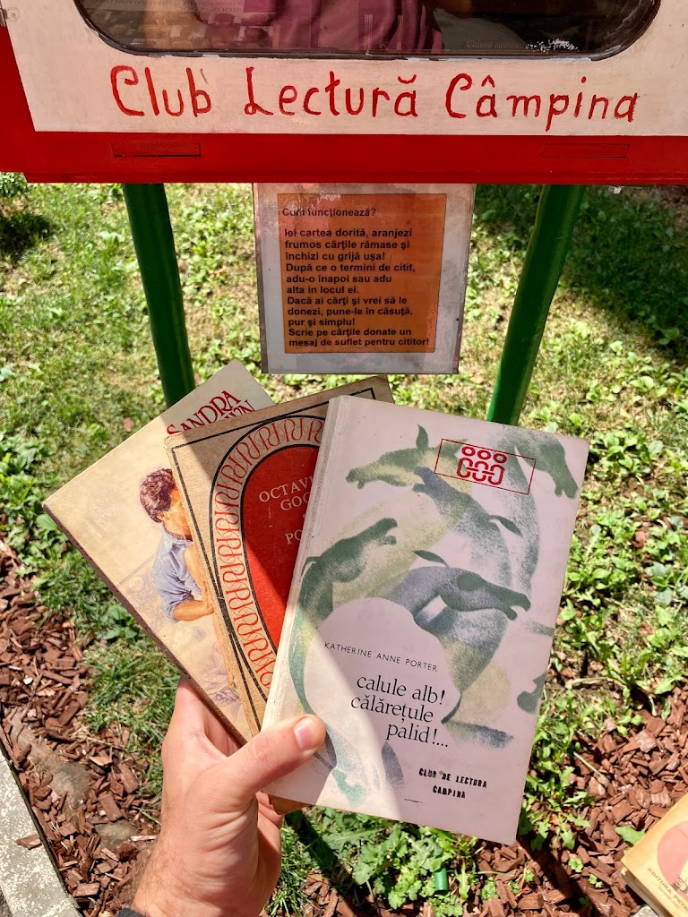 Club de Lectura Campina - Casuta cu carti "Codrut Constantinescu"