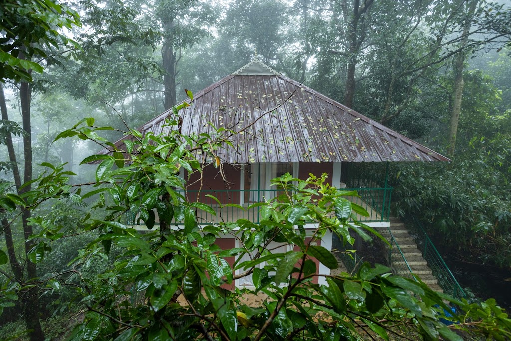 Oxygen Rainforest Resort