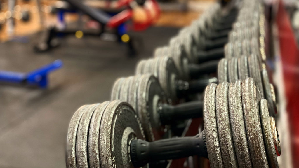  Frankies Body Shop The Gym and Personal Training