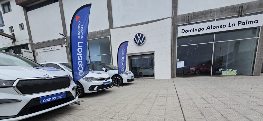 Domingo Alonso Ocasion Los Guinchos