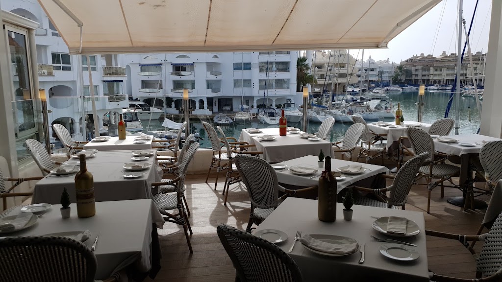 ANGUS Puerto Marina — Ambiente