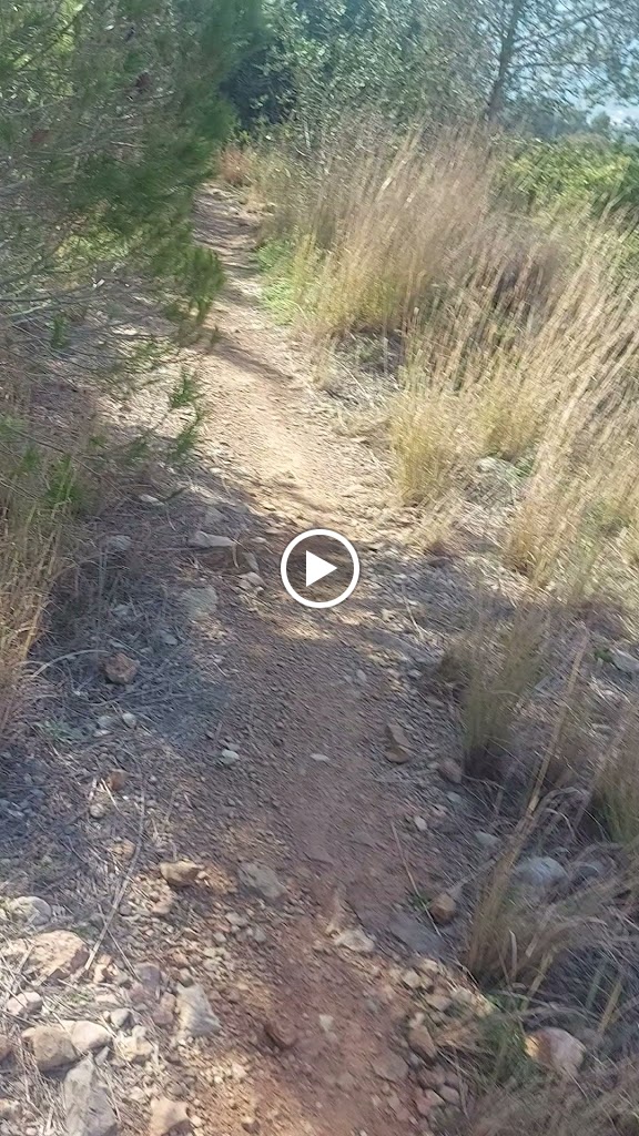 Bar Els Amics — Videos