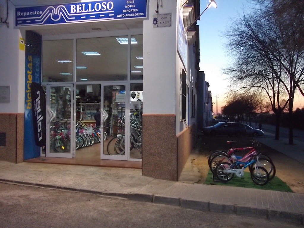 Repuestos Belloso — Exterior
