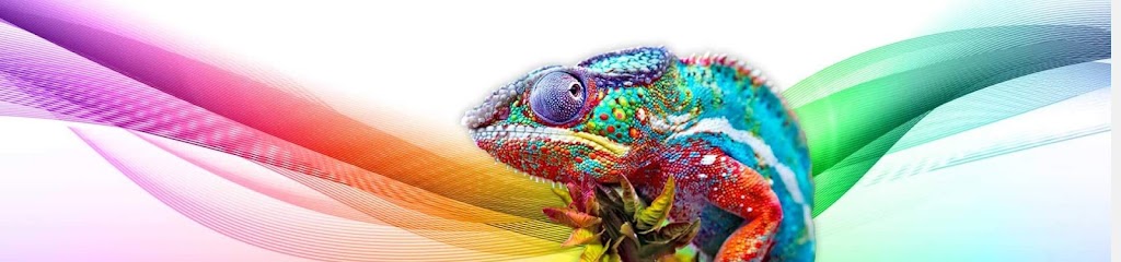 Chameleon Graphix