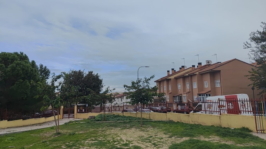 Club Ajedrez Algete 2008