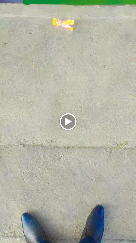 Videos