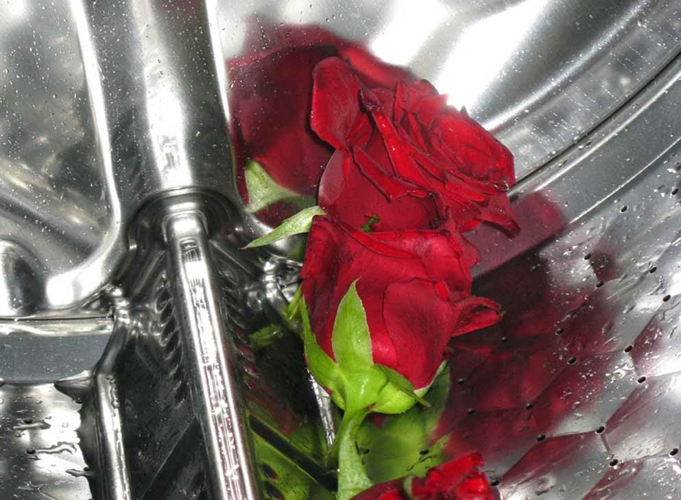 Tintoreria Claramunt