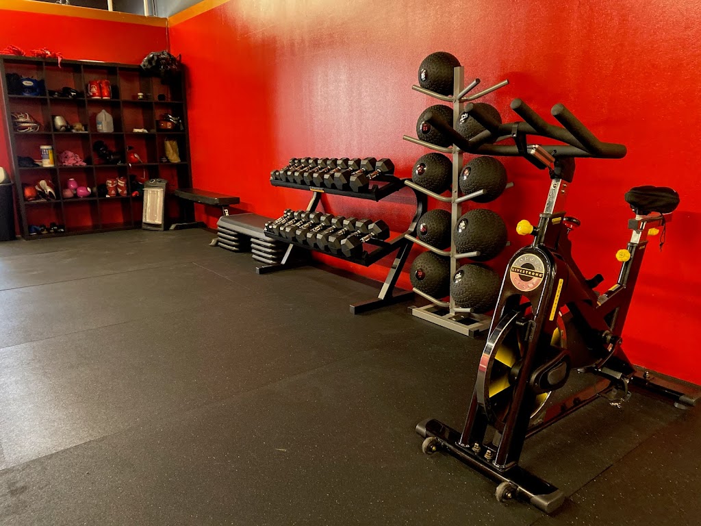  Benavidez Sports Boxing Gym