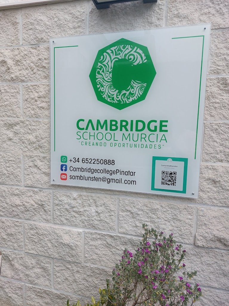 Cambridge school murcia — Del propietario