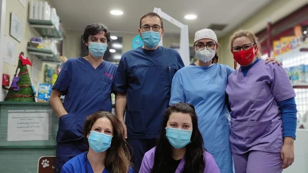 Clinica Veterinaria San Anton