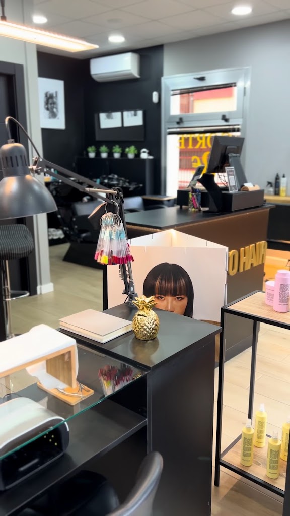 LUXE TO HAIR — Del propietario