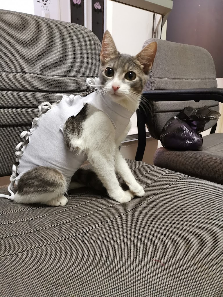 Bra Vet Servicios Veterinarios en Santa Cruz de la Sierra