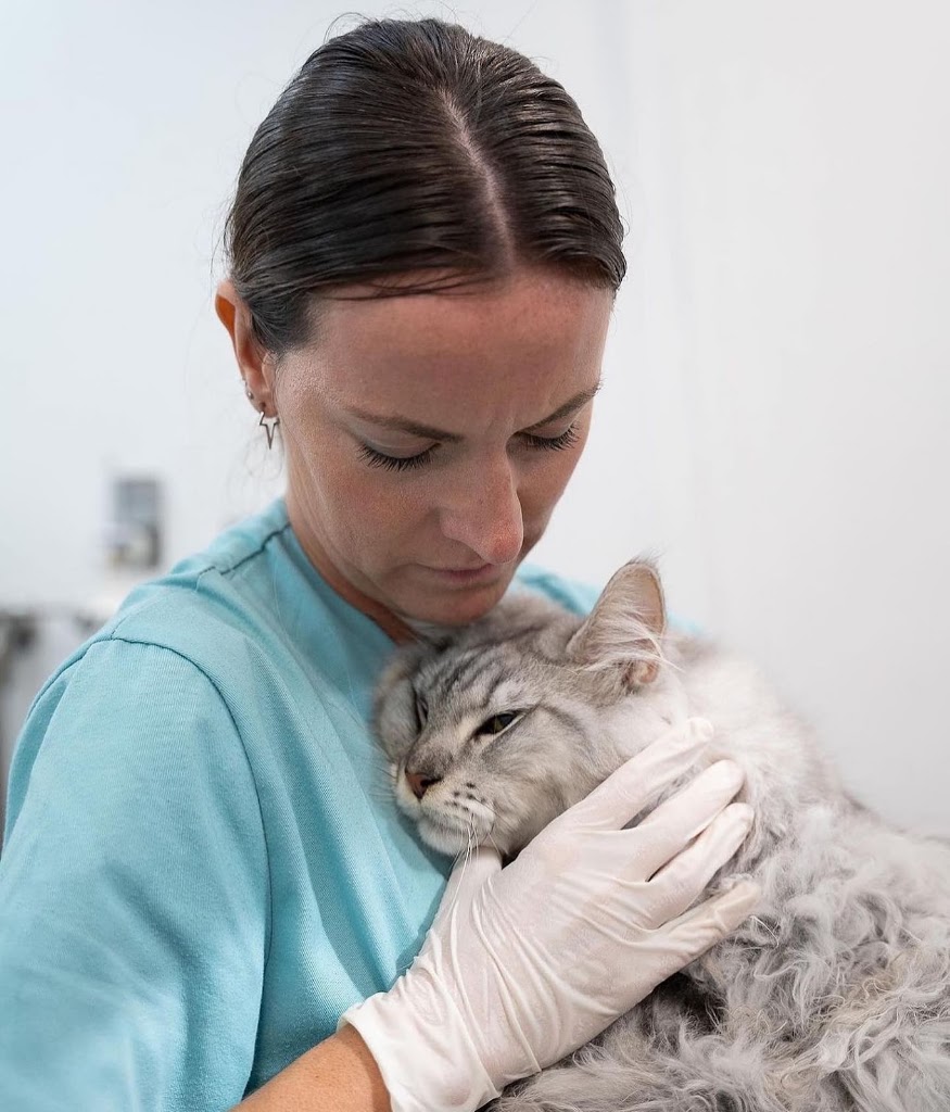 Auna especialidades veterinarias — Gato