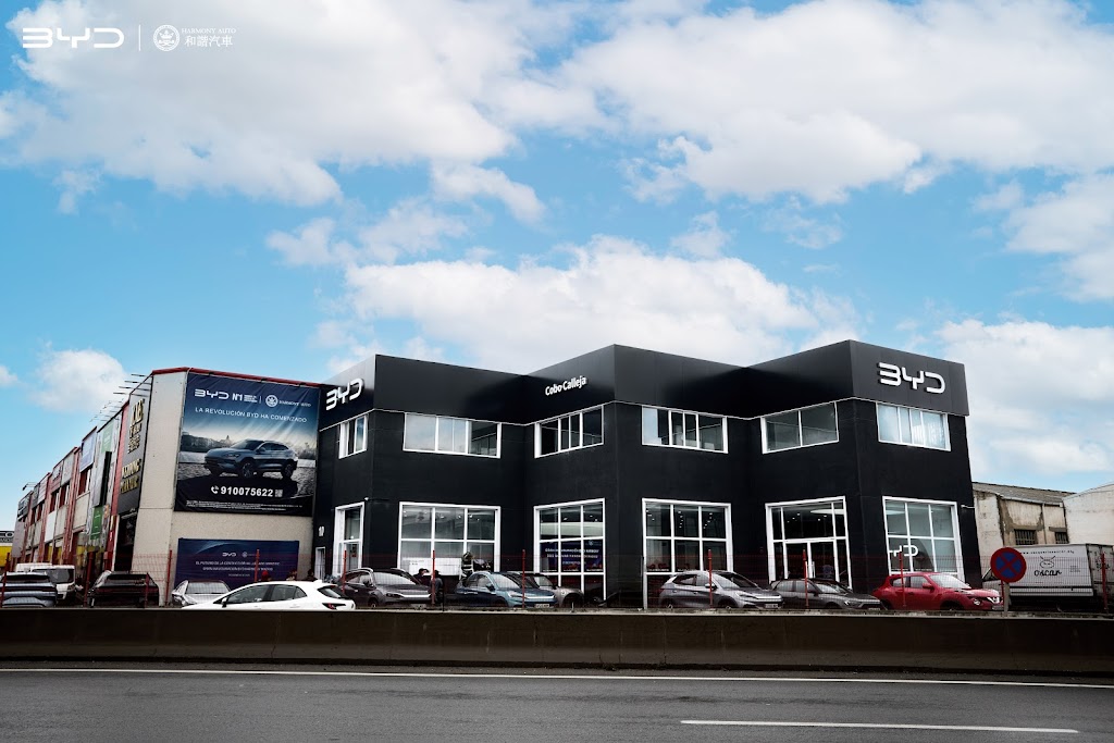 BYD Harmony Auto - Cobo Calleja