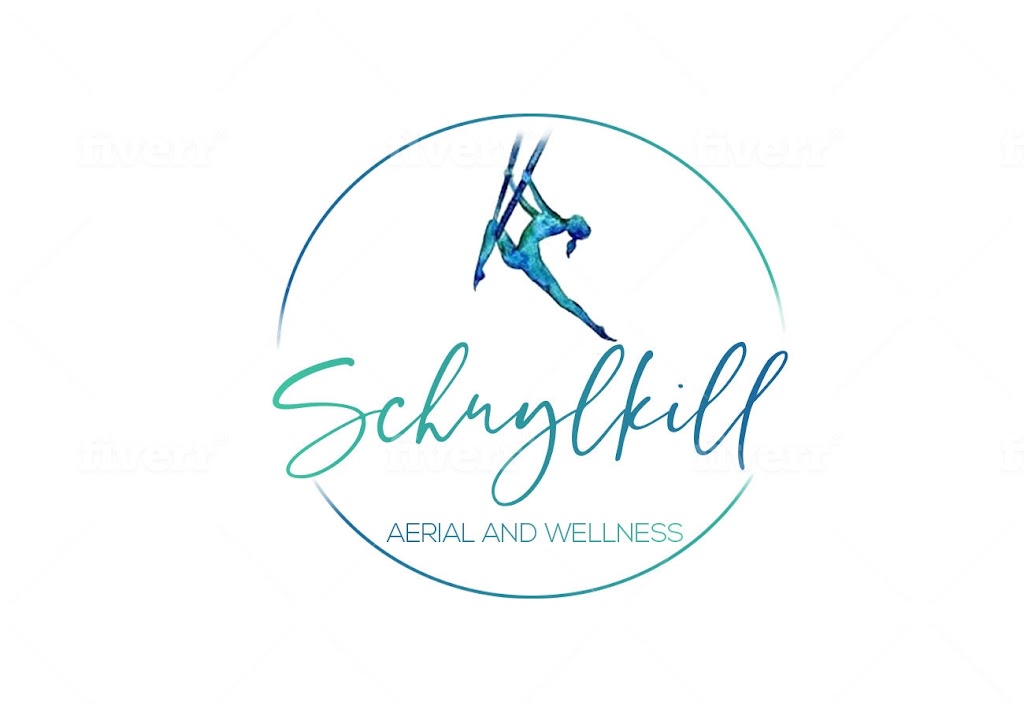  Schuylkill Aerial and Wellness