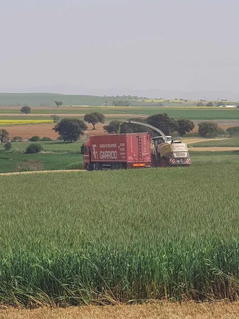 Agencia De Transportes Garrido