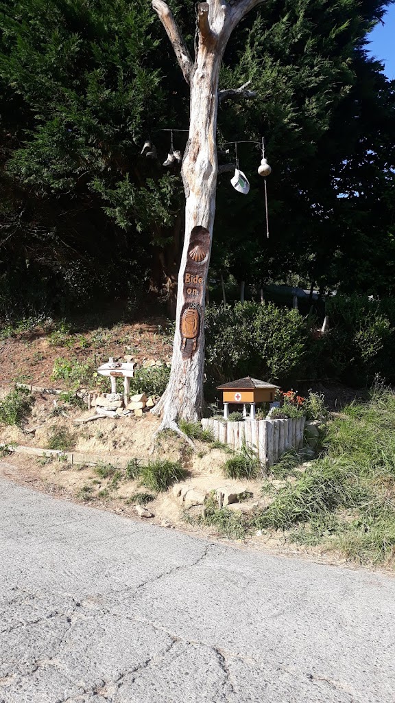 Bide-On! Zuhaitza/Bide-On! Arbol