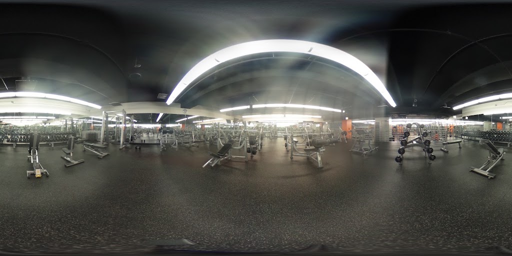  Lakeshore Sport & Fitness