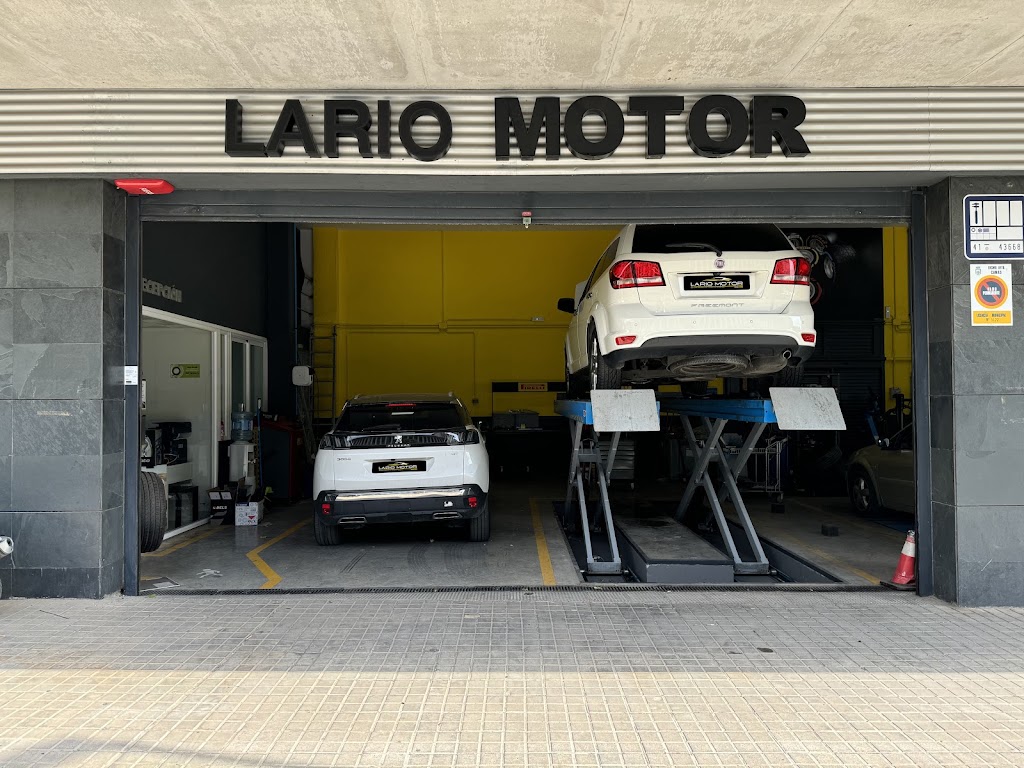 LARIO MOTOR - DRIVER CENTER (TOMARES) - TALLER DE COCHES — Del propietario