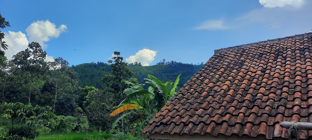 Bukit Pamoroan
