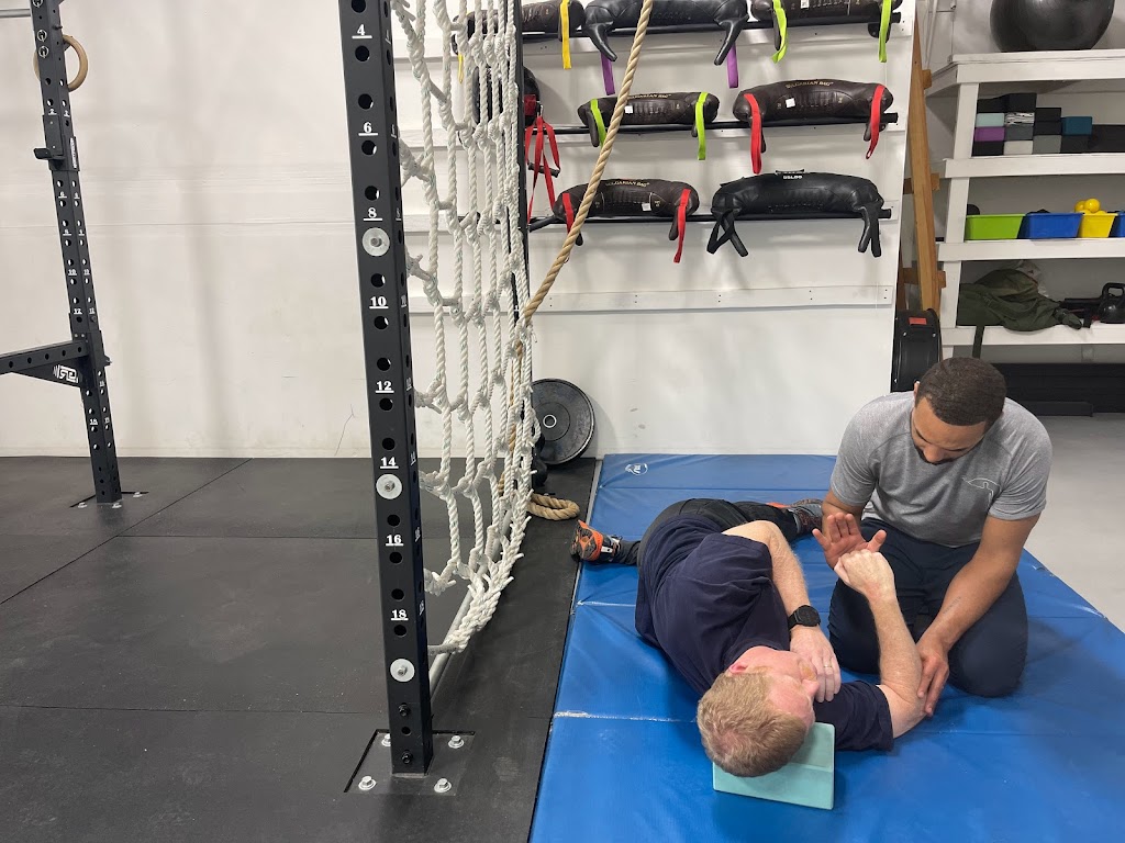  Muscle Mechanics LTM