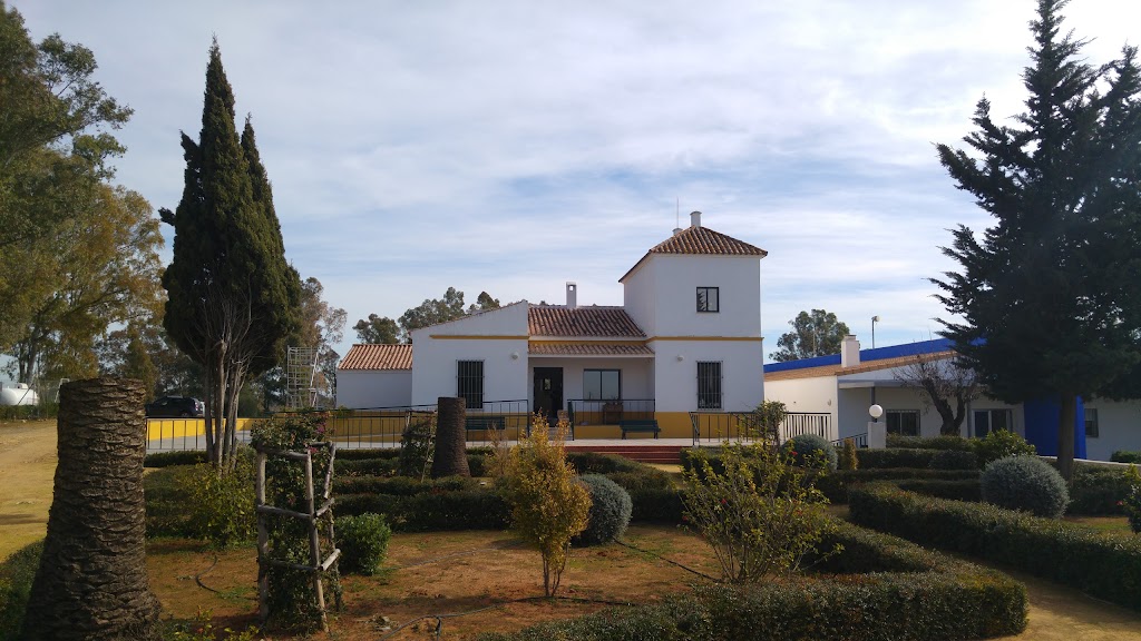 Proyecto Hombre Alcala