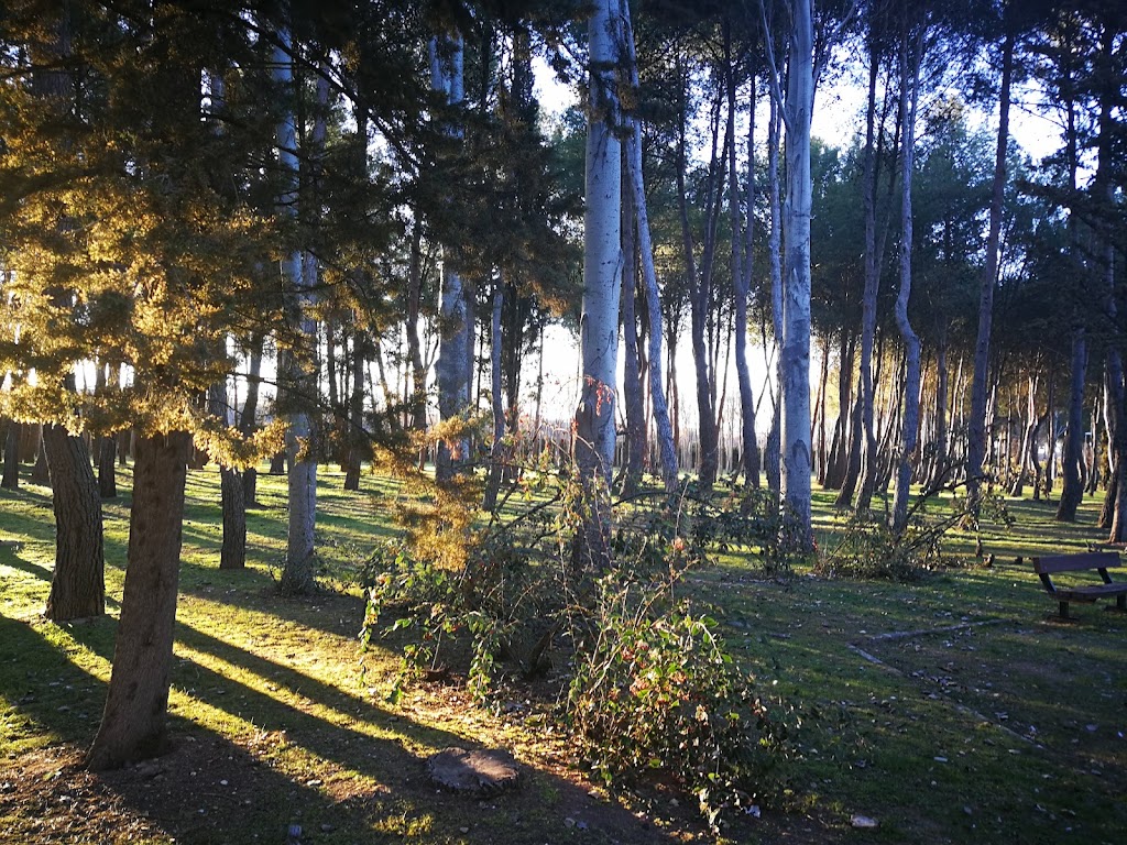 SKATEPARK Aranda de Duero