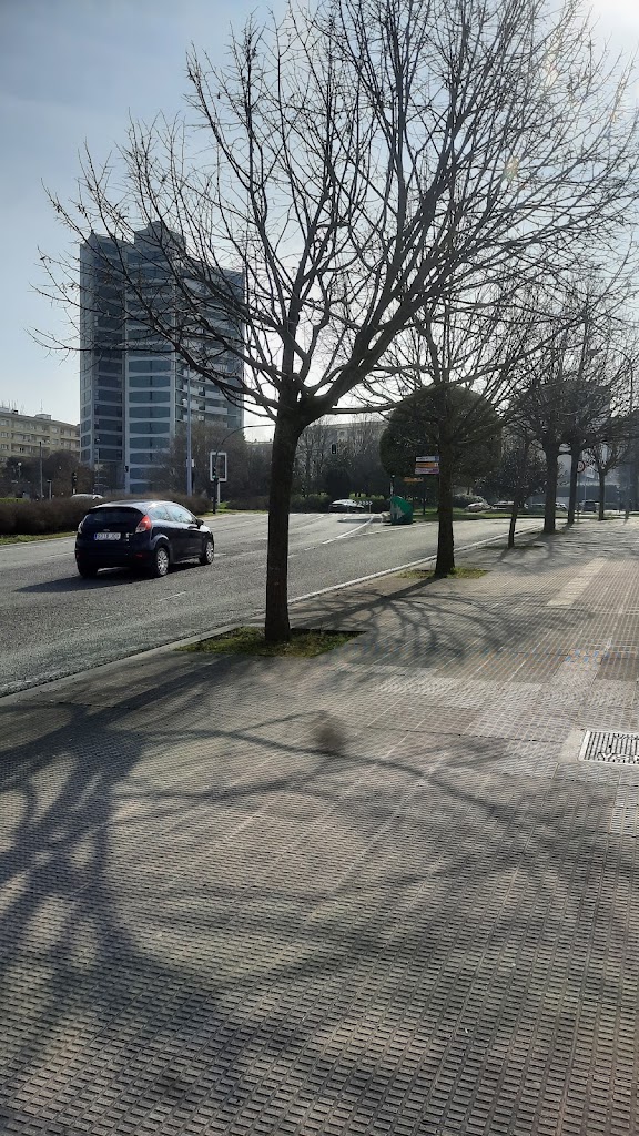 Parking gratuito (Cementerio de Pamplona)
