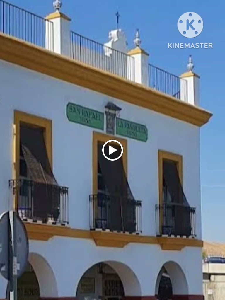 Bodega San Rafael — Videos