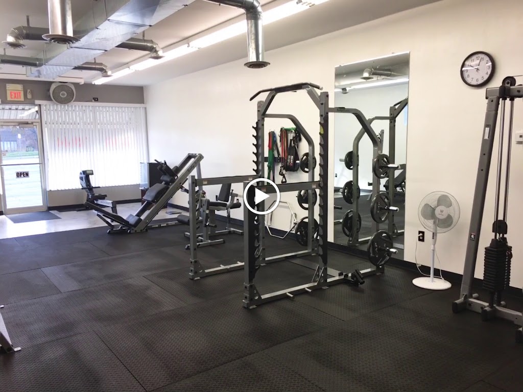  Synergy FX Total Fitness