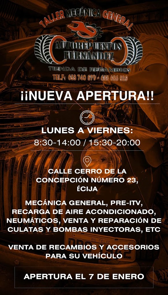 Autorepuestos fernandez