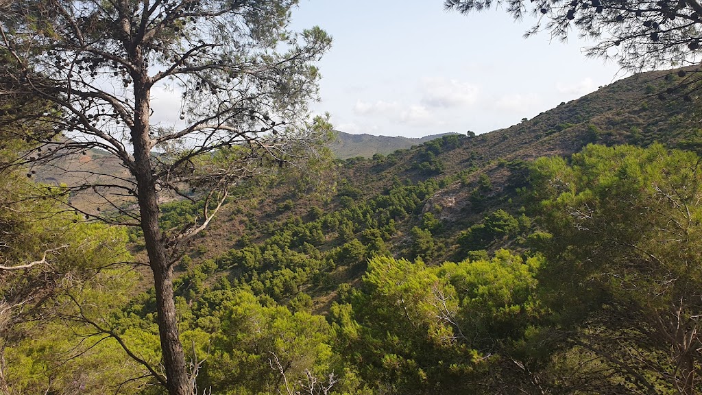 Senda del Barranco