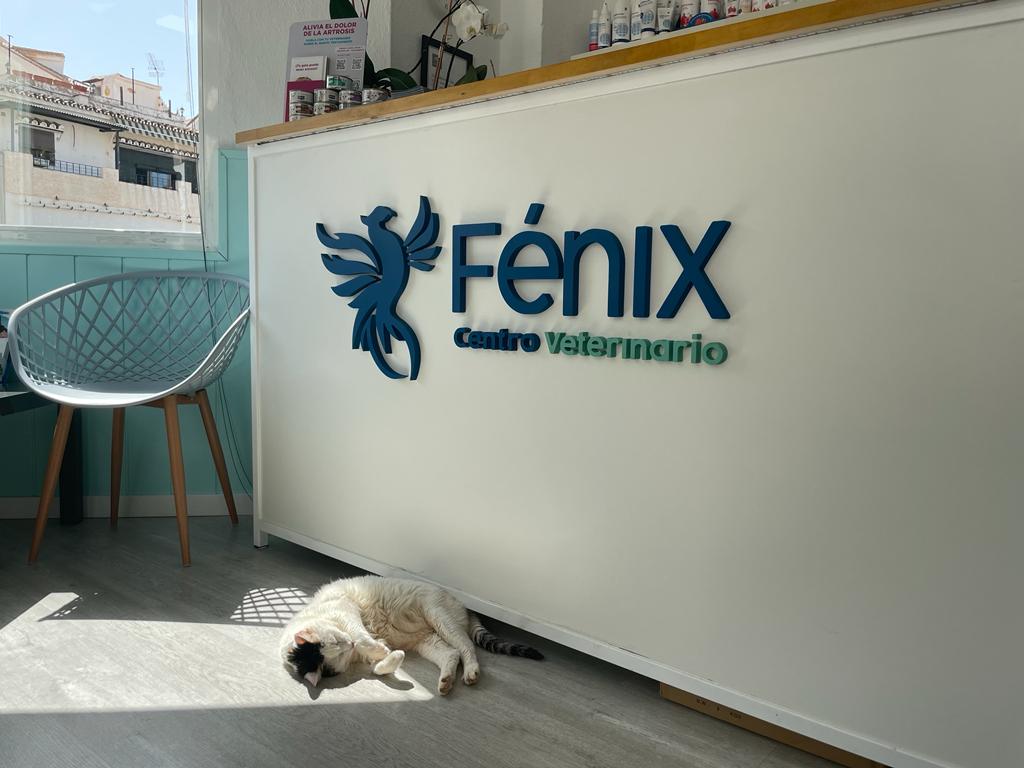 Centro Veterinario Fenix