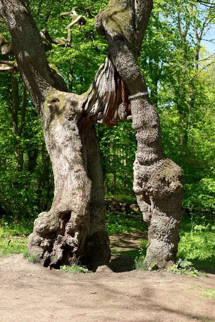 Bar Deportivo Sant Miquel