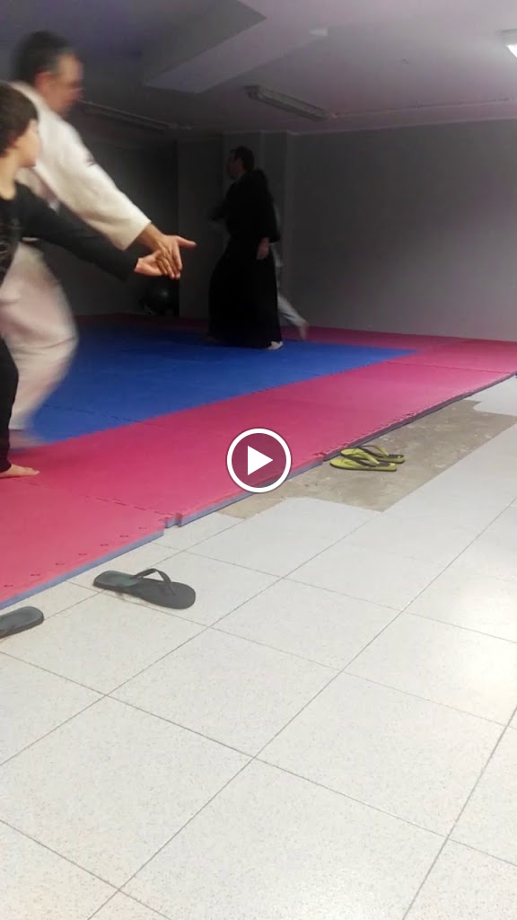 Escola Arts - Escola de Karate i Aikido — Videos