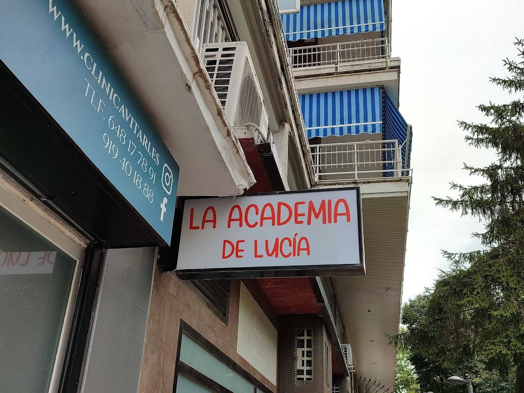 LA ACADEMIA DE LUCIA — Del propietario